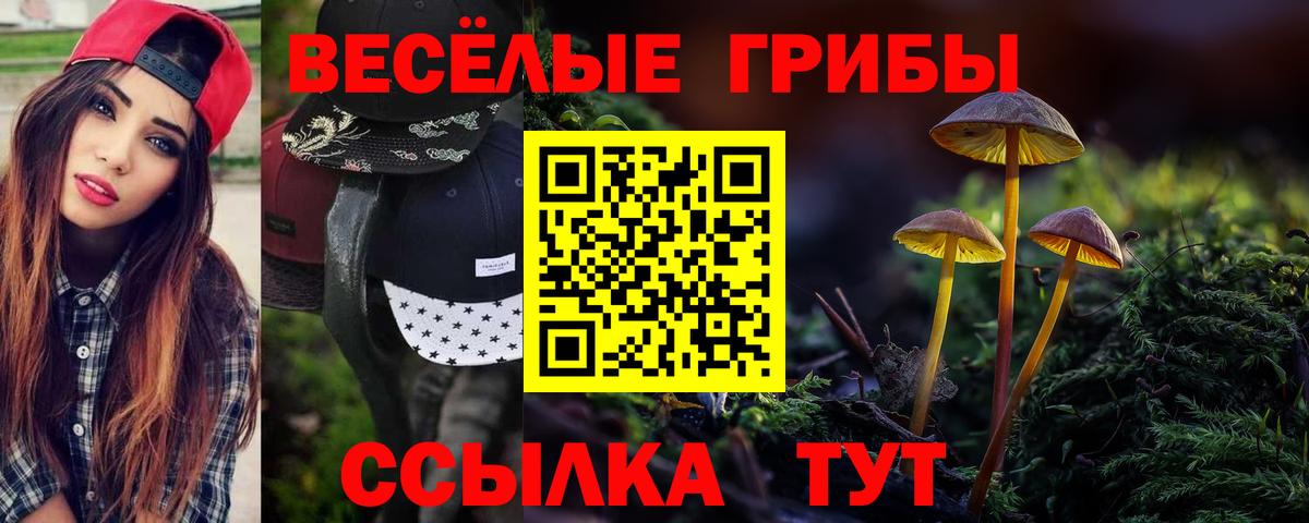 Люберцы  Псилоцибиновые грибы MAGIC MUSHROOMS  Вход с VPN 